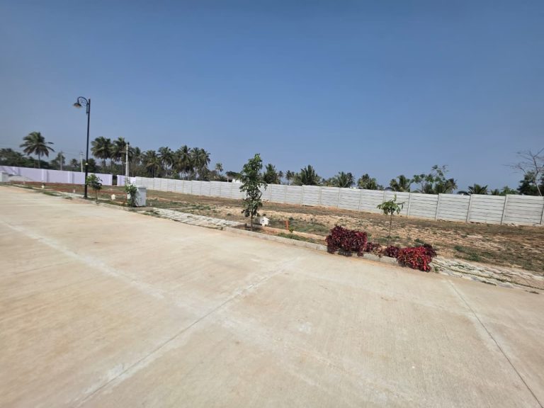 WhatsApp Image 2026-01-23 at 14.08.30 (1)