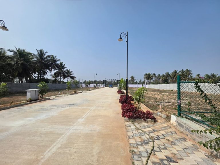 WhatsApp Image 2026-01-23 at 14.08.30 (2)