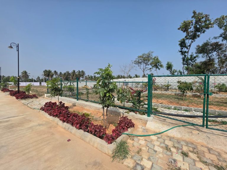 WhatsApp Image 2026-01-23 at 14.08.30