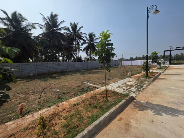 WhatsApp Image 2026-01-23 at 14.08.31 (1)