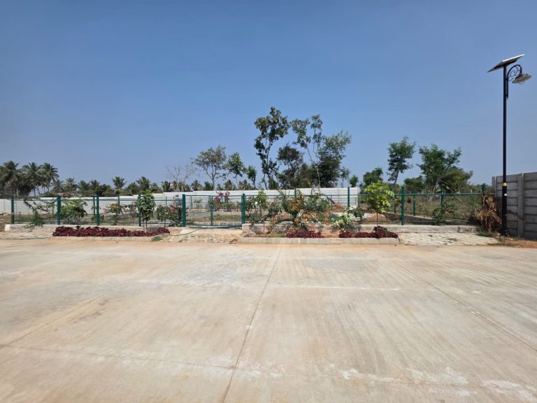 WhatsApp Image 2026-01-23 at 14.08.31